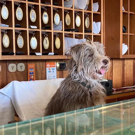 Hotel Ping Pong Lido di Ostia Zewnętrze zdjęcie