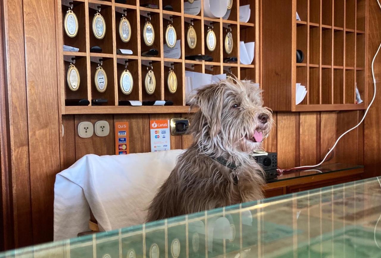 Hotel Ping Pong Lido di Ostia Zewnętrze zdjęcie